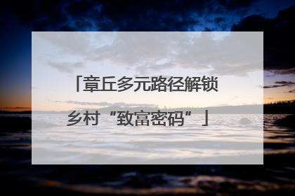 章丘多元路径解锁乡村“致富密码”
