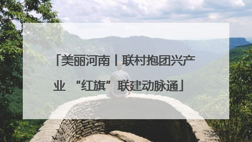 美丽河南丨联村抱团兴产业 “红旗”联建动脉通