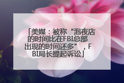 美媒：被称“泡夜店的时间比在FBI总部出现的时间还多”，FBI局长提起诉讼