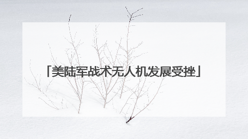 美陆军战术无人机发展受挫