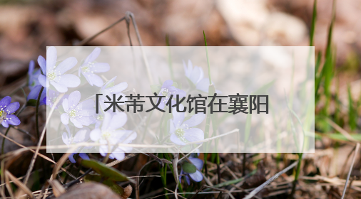 米芾文化馆在襄阳高新米庄镇落成