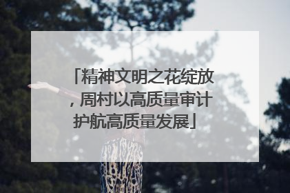 精神文明之花绽放，周村以高质量审计护航高质量发展