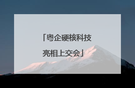 粤企硬核科技亮相上交会