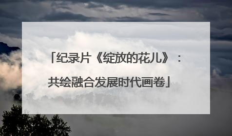 纪录片《绽放的花儿》：共绘融合发展时代画卷