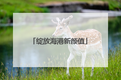绽放海港新颜值