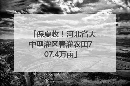 保夏收！河北省大中型灌区春灌农田707.4万亩