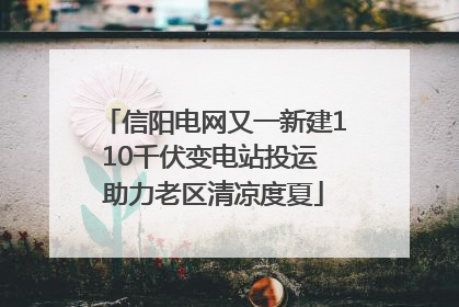 信阳电网又一新建110千伏变电站投运 助力老区清凉度夏