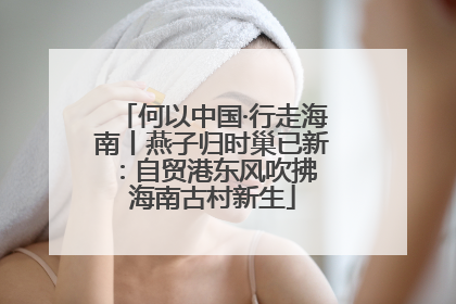 何以中国·行走海南丨燕子归时巢已新：自贸港东风吹拂 海南古村新生