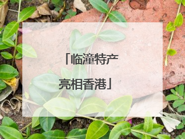 临潼特产亮相香港