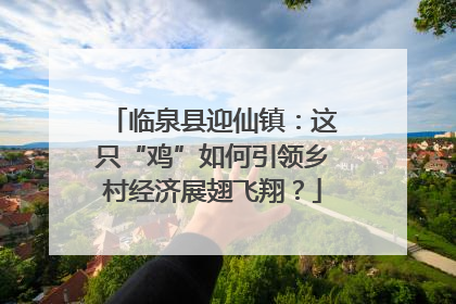 临泉县迎仙镇：这只“鸡”如何引领乡村经济展翅飞翔？