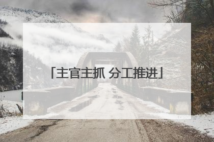 主官主抓 分工推进