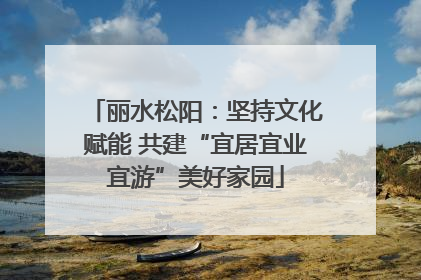丽水松阳：坚持文化赋能 共建“宜居宜业宜游”美好家园