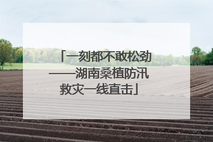 一刻都不敢松劲——湖南桑植防汛救灾一线直击