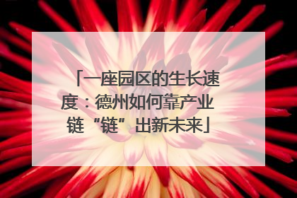 一座园区的生长速度：德州如何靠产业链“链”出新未来