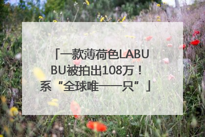 一款薄荷色LABUBU被拍出108万！系“全球唯一一只”