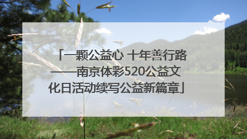 一颗公益心 十年善行路——南京体彩520公益文化日活动续写公益新篇章