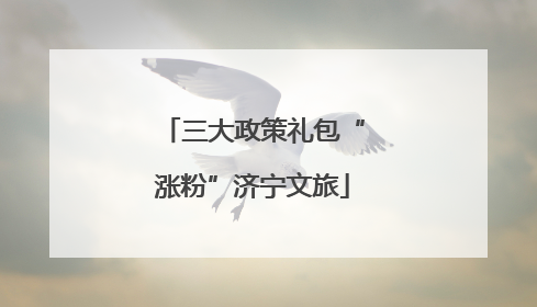 三大政策礼包“涨粉”济宁文旅