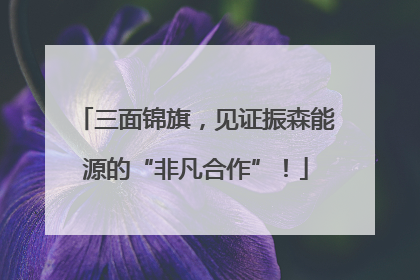 三面锦旗，见证振森能源的“非凡合作”！