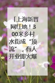 上海新晋网红地！300米乡村水街成“顶流”，有人开业即火爆
