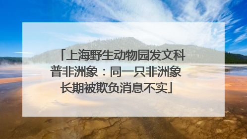 上海野生动物园发文科普非洲象：同一只非洲象长期被欺负消息不实