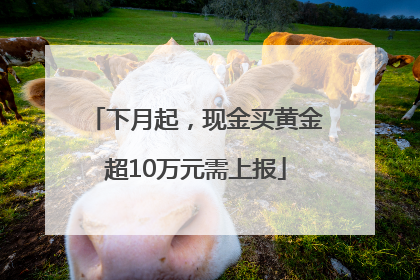 下月起，现金买黄金超10万元需上报