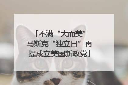 不满“大而美” 马斯克“独立日”再提成立美国新政党