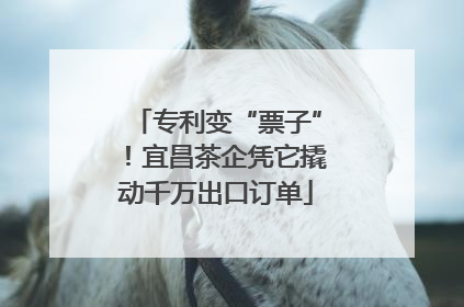 专利变“票子”！宜昌茶企凭它撬动千万出口订单