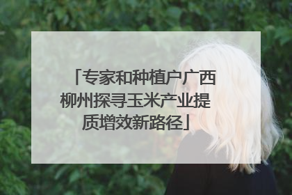 专家和种植户广西柳州探寻玉米产业提质增效新路径