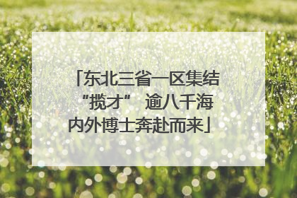东北三省一区集结“揽才” 逾八千海内外博士奔赴而来