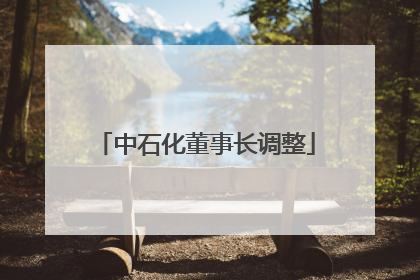 中石化董事长调整