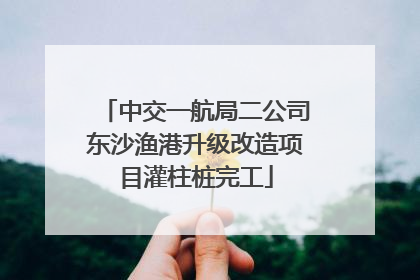 中交一航局二公司东沙渔港升级改造项目灌柱桩完工