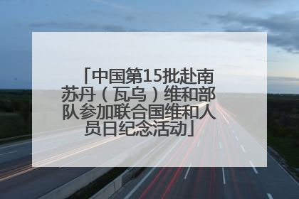 中国第15批赴南苏丹（瓦乌）维和部队参加联合国维和人员日纪念活动