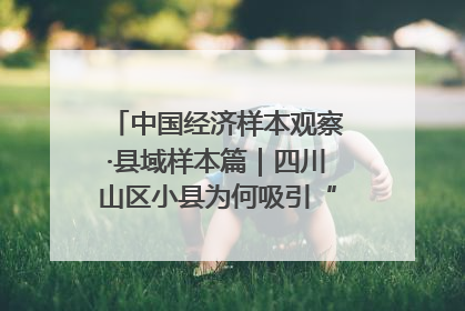 中国经济样本观察·县域样本篇｜四川山区小县为何吸引“村播”扎堆？