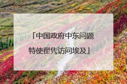 中国政府中东问题特使翟隽访问埃及