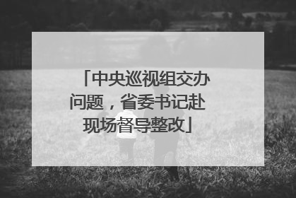 中央巡视组交办问题，省委书记赴现场督导整改