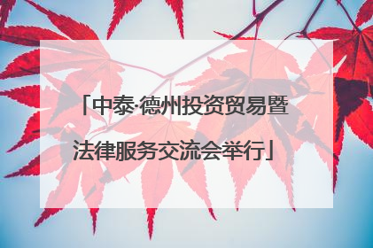 中泰·德州投资贸易暨法律服务交流会举行