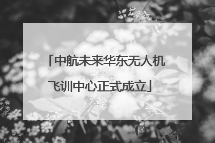 中航未来华东无人机飞训中心正式成立
