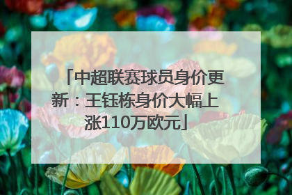 中超联赛球员身价更新：王钰栋身价大幅上涨110万欧元