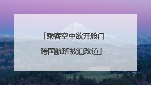 乘客空中欲开舱门 跨国航班被迫改道