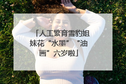 人工繁育雪豹姐妹花“水墨”“油画”六岁啦