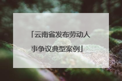 云南省发布劳动人事争议典型案例
