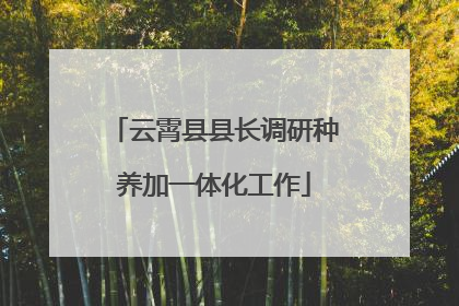 云霄县县长调研种养加一体化工作