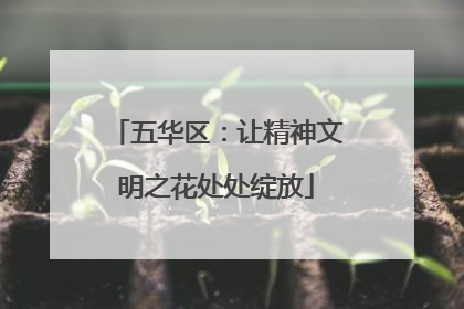 五华区：让精神文明之花处处绽放
