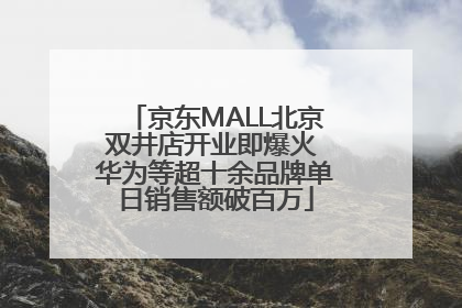 京东MALL北京双井店开业即爆火 华为等超十余品牌单日销售额破百万