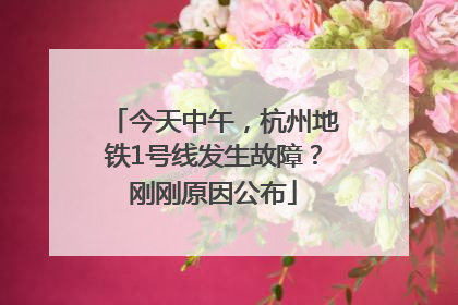 今天中午，杭州地铁1号线发生故障？刚刚原因公布