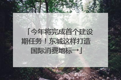 今年将完成首个建设期任务！东城这样打造国际消费地标→