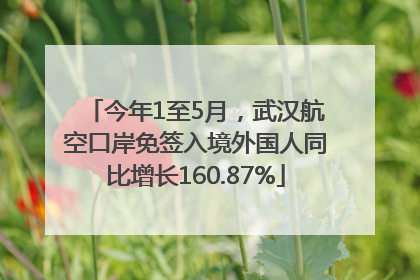 今年1至5月，武汉航空口岸免签入境外国人同比增长160.87%