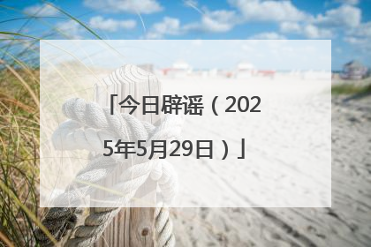 今日辟谣（2025年5月29日）