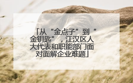 从“金点子”到“金钥匙”，江汉区人大代表和职能部门面对面解企业难题