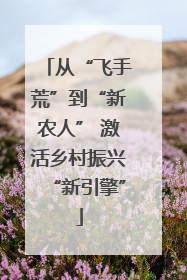 从“飞手荒”到“新农人” 激活乡村振兴“新引擎”